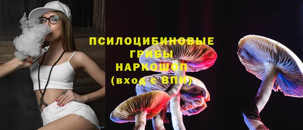 шишки Армянск