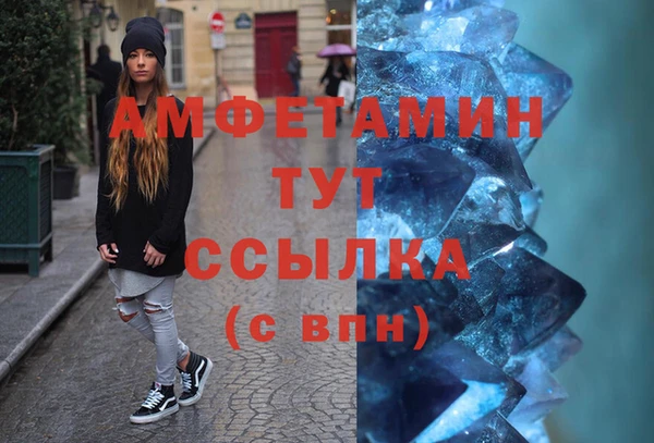 шишки Армянск