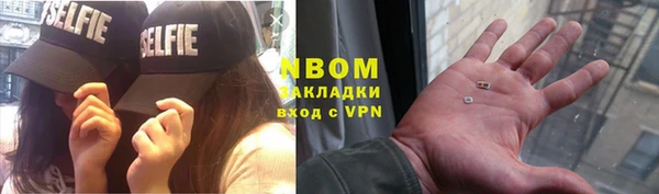 молекула духа Арсеньев