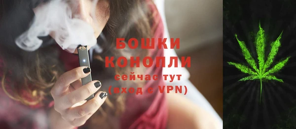 шишки Армянск