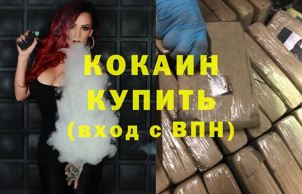 молекула духа Арсеньев