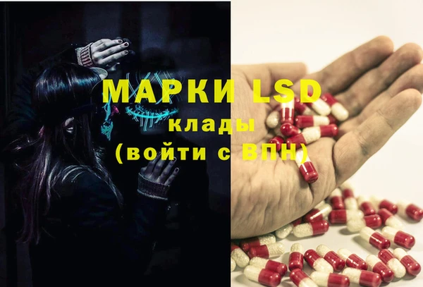 шишки Армянск