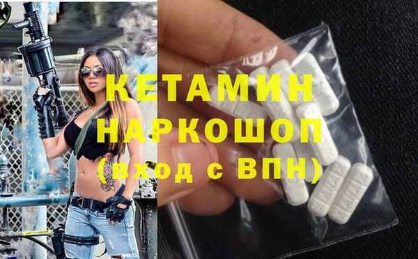 шишки Армянск