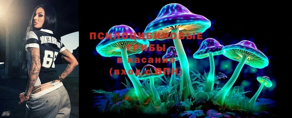 дмт Аркадак